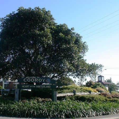 Cooroy Luxury Motel Apartments Екстер'єр фото